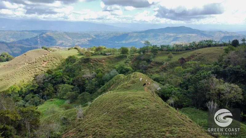 Costa Rican Mountain View Farm: Pastures, River & 5 Potential Building Sites near Uvita — view 15, Perez Zeledon, Costa Rica