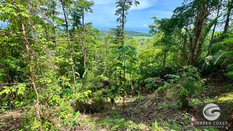 Uvita Luxury Ocean View Lot: Build Your Dream Home in an Exclusive Costa Rican Community — view 6, Bahía Ballena, Osa, Costa Rica