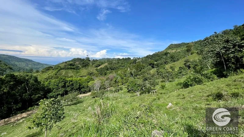 23-Acre Ocean View Farm with Extra Building Lot Near Uvita & San Isidro — view 2, San Isidro, Costa Rica