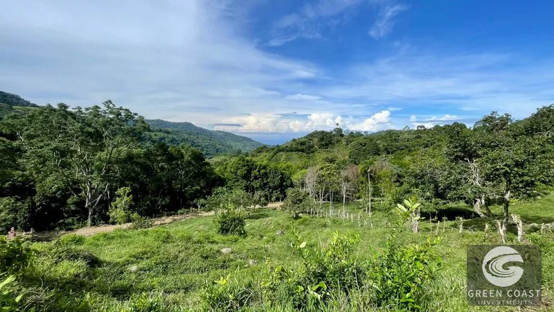 23-Acre Ocean View Farm with Extra Building Lot Near Uvita & San Isidro — view 4, San Isidro, Costa Rica