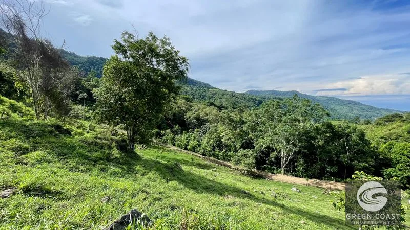 23-Acre Ocean View Farm with Extra Building Lot Near Uvita & San Isidro — view 8, San Isidro, Costa Rica
