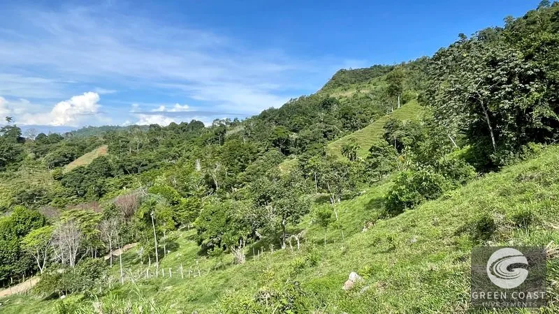 23-Acre Ocean View Farm with Extra Building Lot Near Uvita & San Isidro — view 9, San Isidro, Costa Rica
