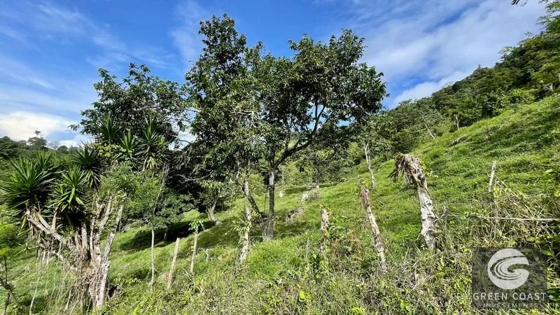 23-Acre Ocean View Farm with Extra Building Lot Near Uvita & San Isidro — view 11, San Isidro, Costa Rica