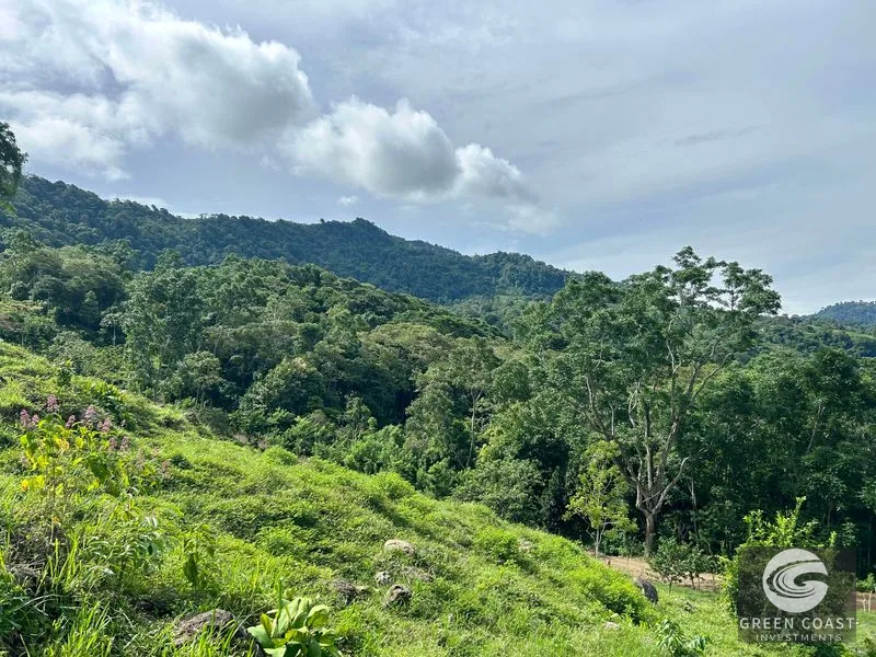 23-Acre Ocean View Farm with Extra Building Lot Near Uvita & San Isidro — view 13, San Isidro, Costa Rica