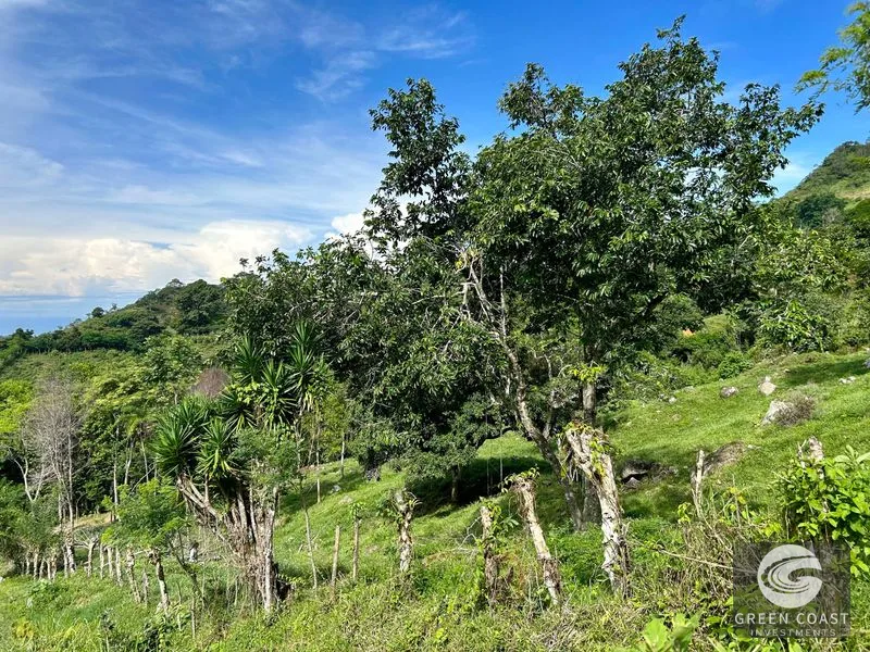 23-Acre Ocean View Farm with Extra Building Lot Near Uvita & San Isidro — view 14, San Isidro, Costa Rica