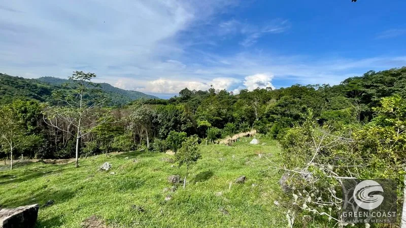 23-Acre Ocean View Farm with Extra Building Lot Near Uvita & San Isidro — view 15, San Isidro, Costa Rica