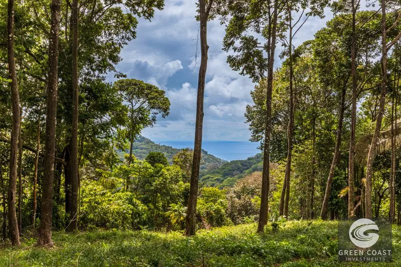 86-Acre Ocean View Estate Near Dominical: Borders Hacienda Barú, Development Ready — view 3, Dominical, Baru, Costa Rica