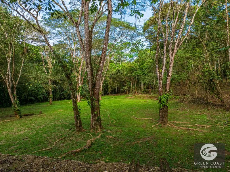 86-Acre Ocean View Estate Near Dominical: Borders Hacienda Barú, Development Ready — view 6, Dominical, Baru, Costa Rica