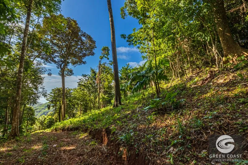 86-Acre Ocean View Estate Near Dominical: Borders Hacienda Barú, Development Ready — view 7, Dominical, Baru, Costa Rica