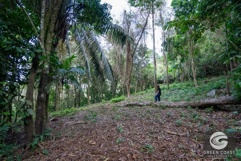 86-Acre Ocean View Estate Near Dominical: Borders Hacienda Barú, Development Ready — view 8, Dominical, Baru, Costa Rica