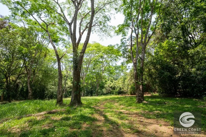 86-Acre Ocean View Estate Near Dominical: Borders Hacienda Barú, Development Ready — view 12, Dominical, Baru, Costa Rica