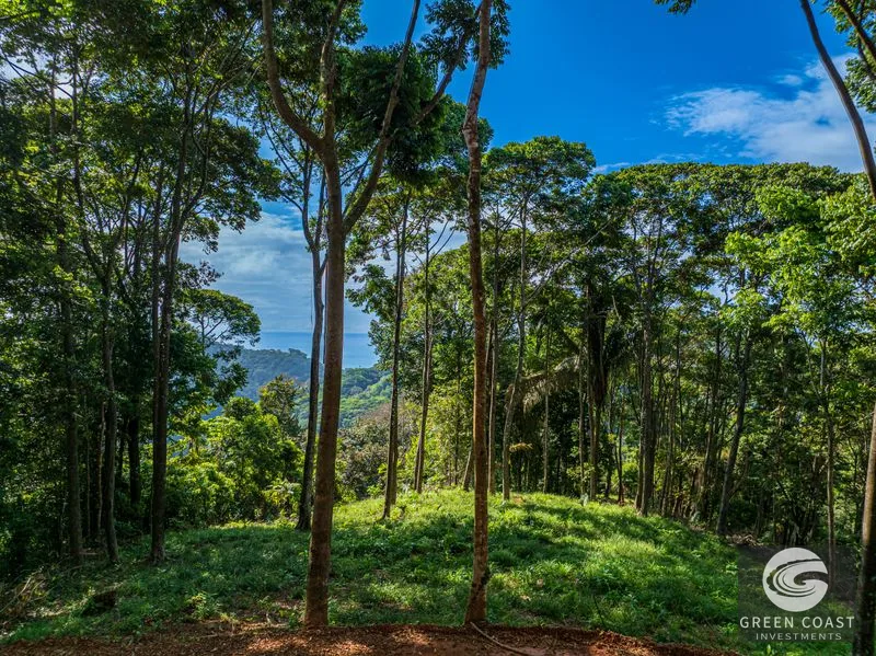 86-Acre Ocean View Estate Near Dominical: Borders Hacienda Barú, Development Ready — view 13, Dominical, Baru, Costa Rica