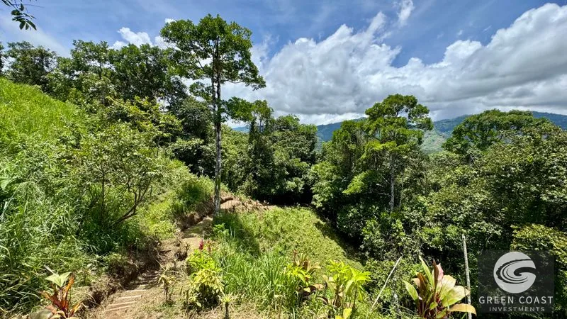 San Vito Mountain Retreat: Treehouse-Style Home, Waterfalls & Fertile Land — view 21, San Vito, Coto Brus, Costa Rica