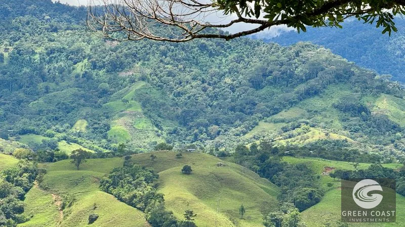 San Vito Mountain Retreat: Treehouse-Style Home, Waterfalls & Fertile Land — view 24, San Vito, Coto Brus, Costa Rica