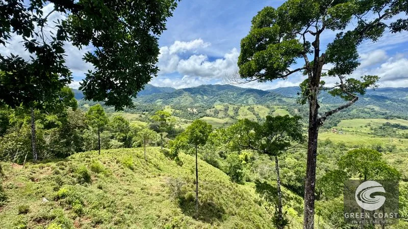San Vito Mountain Retreat: Treehouse-Style Home, Waterfalls & Fertile Land — view 28, San Vito, Coto Brus, Costa Rica