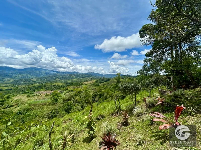 San Vito Mountain Retreat: Treehouse-Style Home, Waterfalls & Fertile Land — view 31, San Vito, Coto Brus, Costa Rica