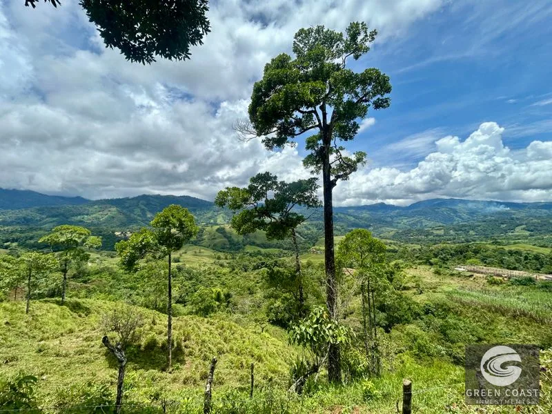 San Vito Mountain Retreat: Treehouse-Style Home, Waterfalls & Fertile Land — view 32, San Vito, Coto Brus, Costa Rica
