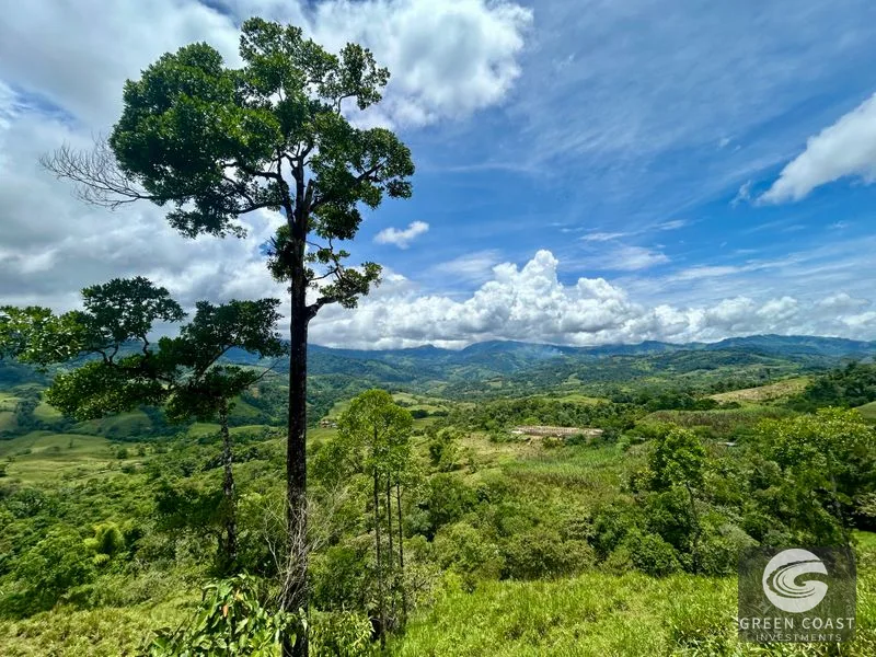 San Vito Mountain Retreat: Treehouse-Style Home, Waterfalls & Fertile Land — view 33, San Vito, Coto Brus, Costa Rica