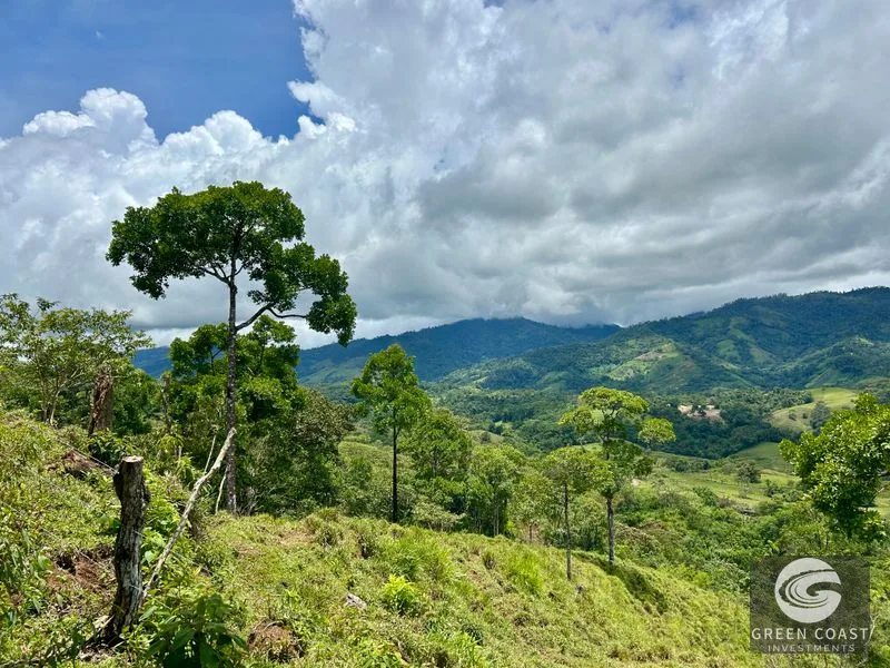 San Vito Mountain Retreat: Treehouse-Style Home, Waterfalls & Fertile Land — view 34, San Vito, Coto Brus, Costa Rica