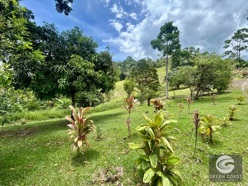 San Vito Mountain Retreat: Treehouse-Style Home, Waterfalls & Fertile Land — view 35, San Vito, Coto Brus, Costa Rica
