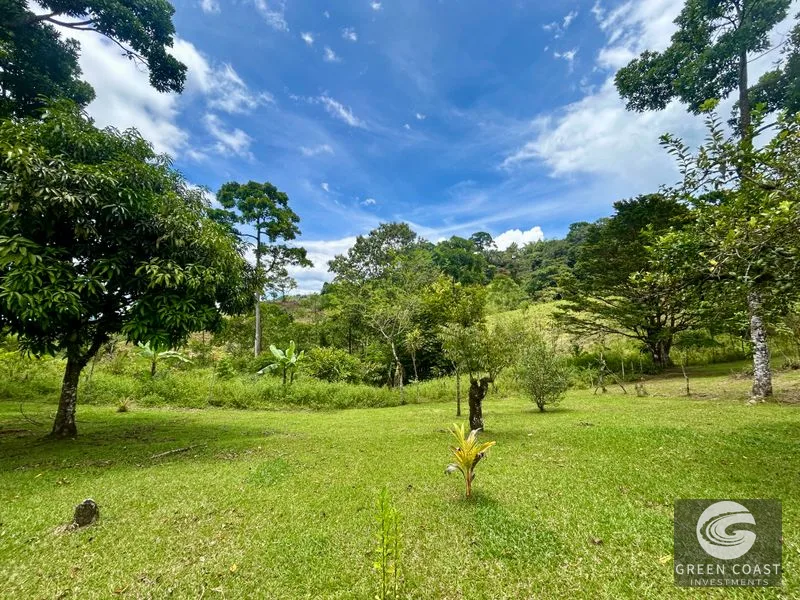 San Vito Mountain Retreat: Treehouse-Style Home, Waterfalls & Fertile Land — view 37, San Vito, Coto Brus, Costa Rica