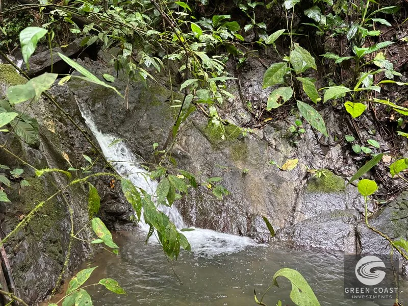 Mountain Sanctuary with Waterfall & Wildlife: Organic Soil, Views & Seller Financing — view 2, Naranjito, Quepos, Costa Rica