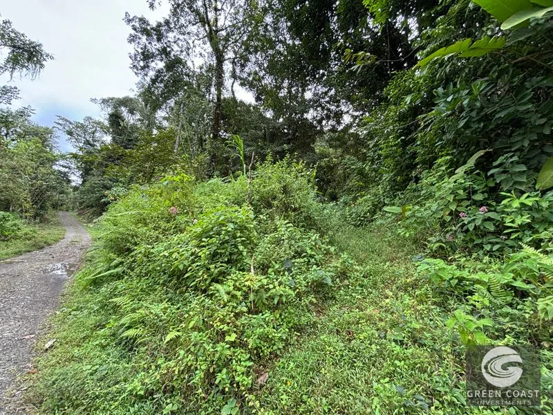 Mountain Sanctuary with Waterfall & Wildlife: Organic Soil, Views & Seller Financing — view 3, Naranjito, Quepos, Costa Rica