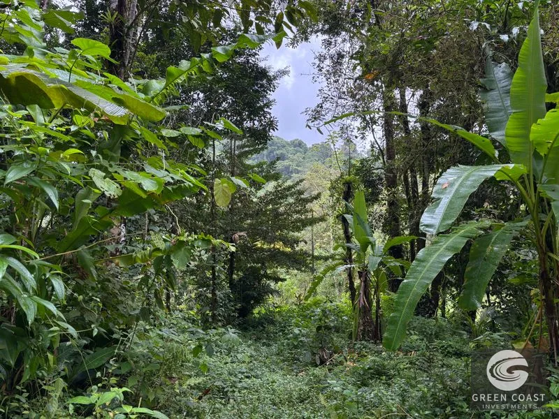 Mountain Sanctuary with Waterfall & Wildlife: Organic Soil, Views & Seller Financing — view 4, Naranjito, Quepos, Costa Rica