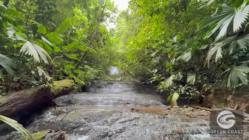 Mountain Sanctuary with Waterfall & Wildlife: Organic Soil, Views & Seller Financing — view 5, Naranjito, Quepos, Costa Rica