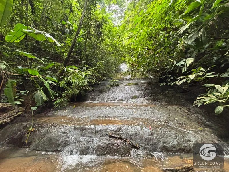 Mountain Sanctuary with Waterfall & Wildlife: Organic Soil, Views & Seller Financing — view 6, Naranjito, Quepos, Costa Rica