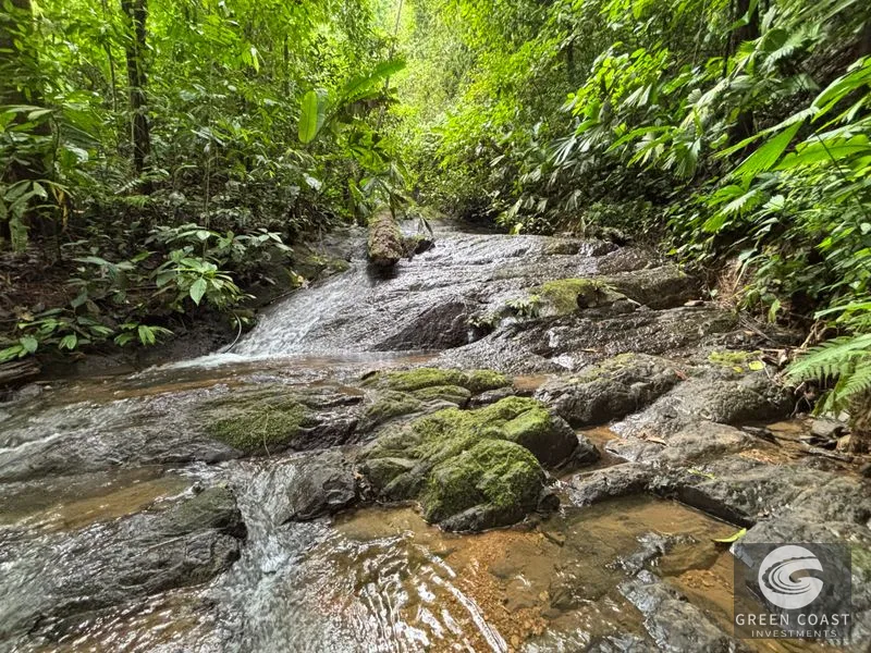 Mountain Sanctuary with Waterfall & Wildlife: Organic Soil, Views & Seller Financing — view 7, Naranjito, Quepos, Costa Rica