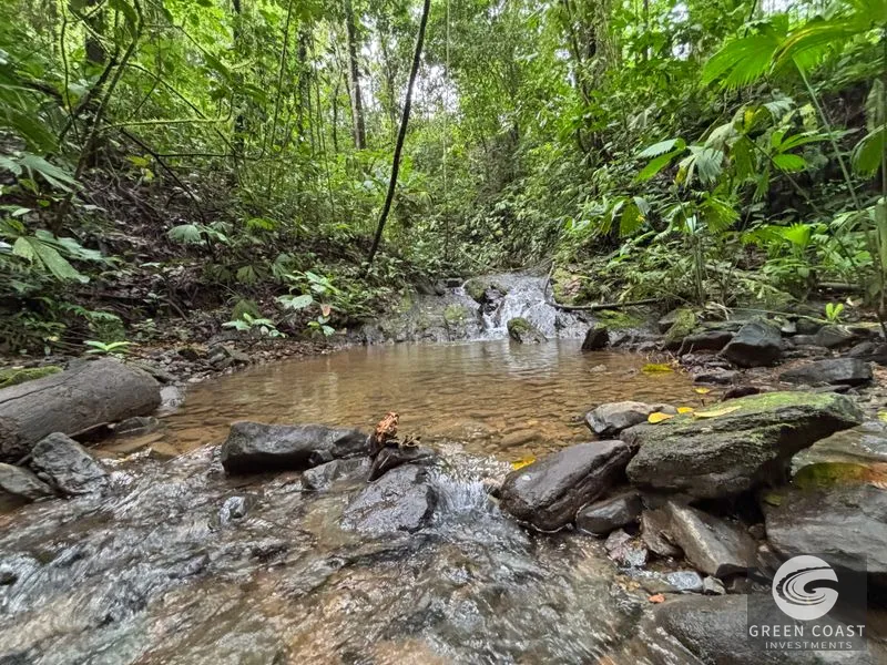 Mountain Sanctuary with Waterfall & Wildlife: Organic Soil, Views & Seller Financing — view 8, Naranjito, Quepos, Costa Rica