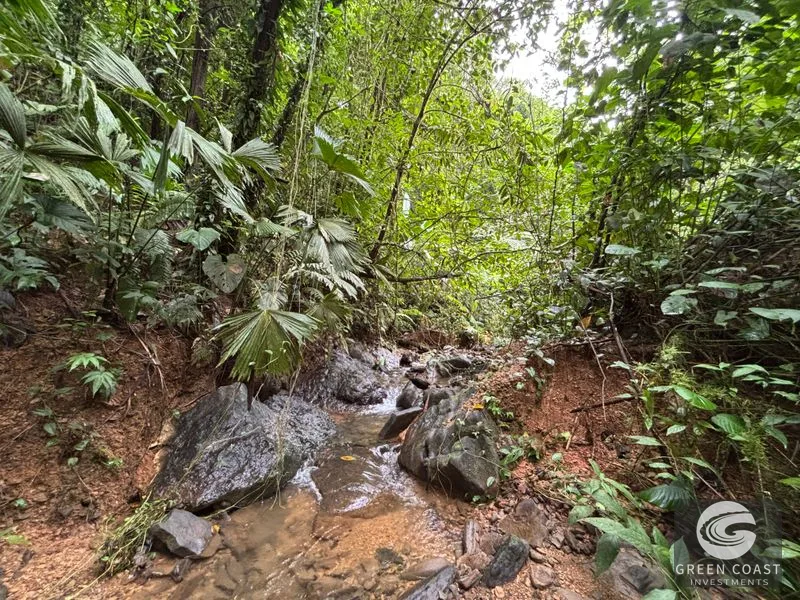 Mountain Sanctuary with Waterfall & Wildlife: Organic Soil, Views & Seller Financing — view 9, Naranjito, Quepos, Costa Rica