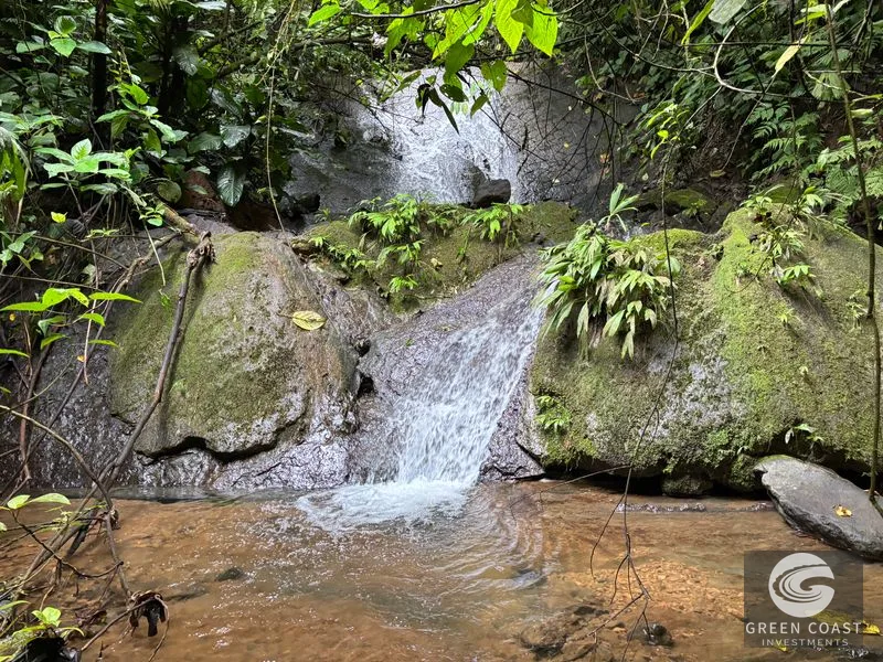 Mountain Sanctuary with Waterfall & Wildlife: Organic Soil, Views & Seller Financing — view 10, Naranjito, Quepos, Costa Rica