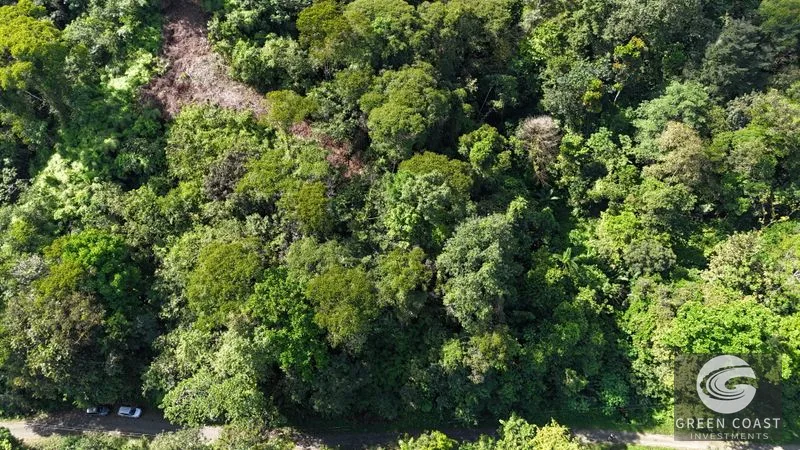 Mountain Sanctuary with Waterfall & Wildlife: Organic Soil, Views & Seller Financing — view 12, Naranjito, Quepos, Costa Rica