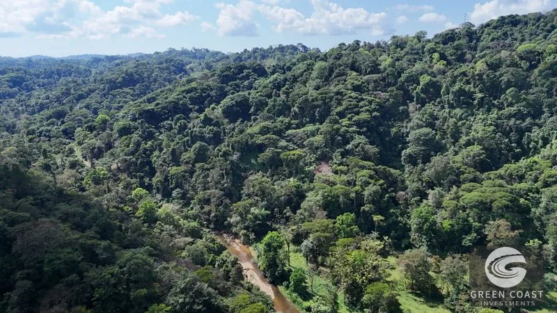 Mountain Sanctuary with Waterfall & Wildlife: Organic Soil, Views & Seller Financing — view 13, Naranjito, Quepos, Costa Rica