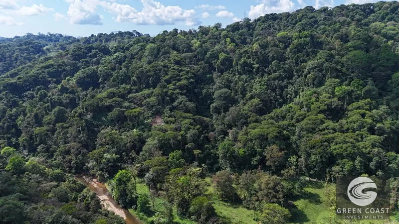 Mountain Sanctuary with Waterfall & Wildlife: Organic Soil, Views & Seller Financing — view 14, Naranjito, Quepos, Costa Rica