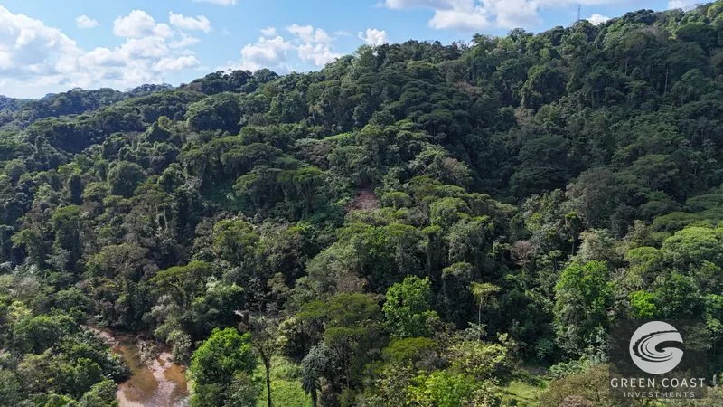Mountain Sanctuary with Waterfall & Wildlife: Organic Soil, Views & Seller Financing — view 15, Naranjito, Quepos, Costa Rica