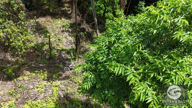 Prime Manuel Antonio Lot: Mountain Views, Near Marina & Beaches – Build Your Dream Home! — view 9, Manuel Antonio, Quepos, Costa Rica