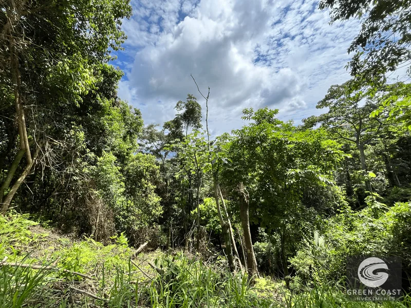 Prime Manuel Antonio Lot: Mountain Views, Near Marina & Beaches – Build Your Dream Home! — view 12, Manuel Antonio, Quepos, Costa Rica