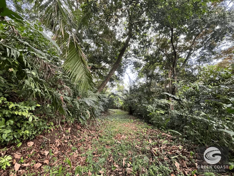 Prime Manuel Antonio Lot: Mountain Views, Near Marina & Beaches – Build Your Dream Home! — view 13, Manuel Antonio, Quepos, Costa Rica