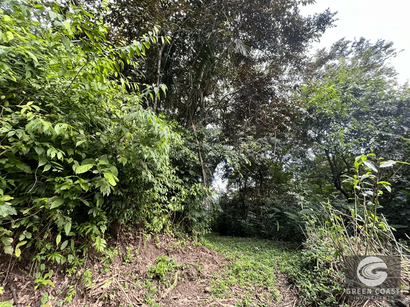 Prime Manuel Antonio Lot: Mountain Views, Near Marina & Beaches – Build Your Dream Home! — view 14, Manuel Antonio, Quepos, Costa Rica