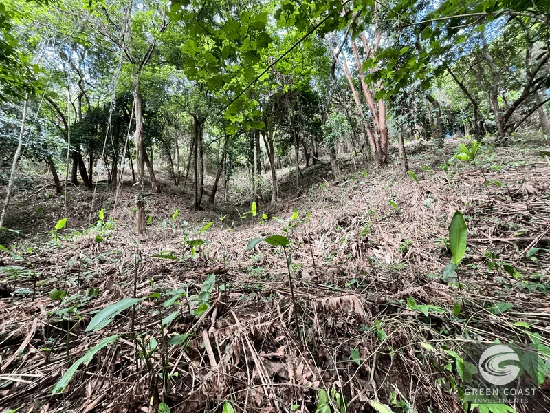Prime Manuel Antonio Lot: Mountain Views, Near Marina & Beaches – Build Your Dream Home! — view 15, Manuel Antonio, Quepos, Costa Rica