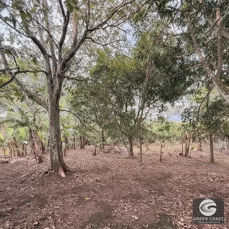 Your Dream Home Awaits: Prime Coastal Land Opportunity — view 1, San José, Costa Rica
