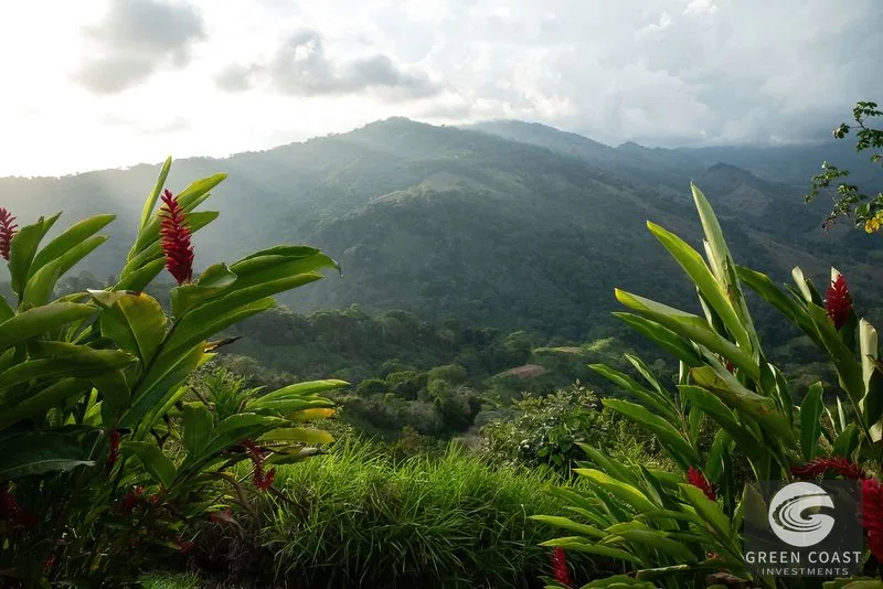Own an Entire Mountain: 148-Acre Costa Rica Estate with Ocean Views & Development Potential — view 14, Platanillo, Platanillo, Costa Rica