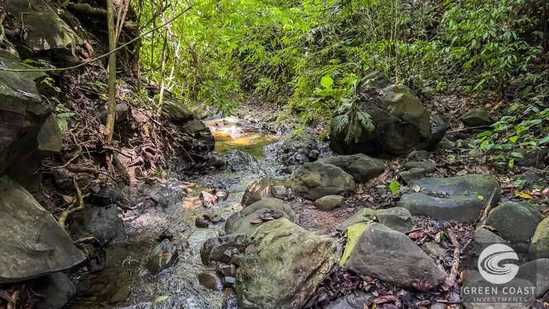 Own an Entire Mountain: 148-Acre Costa Rica Estate with Ocean Views & Development Potential — view 32, Platanillo, Platanillo, Costa Rica