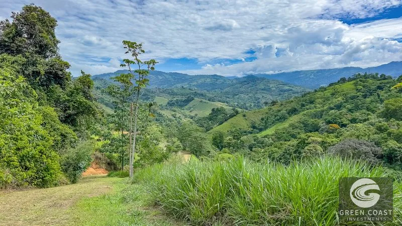 Own an Entire Mountain: 148-Acre Costa Rica Estate with Ocean Views & Development Potential — view 35, Platanillo, Platanillo, Costa Rica