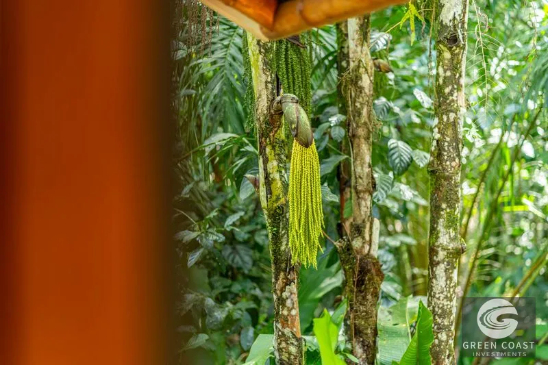 Award-Winning Beachfront Estate: Income-Generating Sanctuary on Osa Peninsula — view 25, Puerto Jimenez, Golfito, Costa Rica