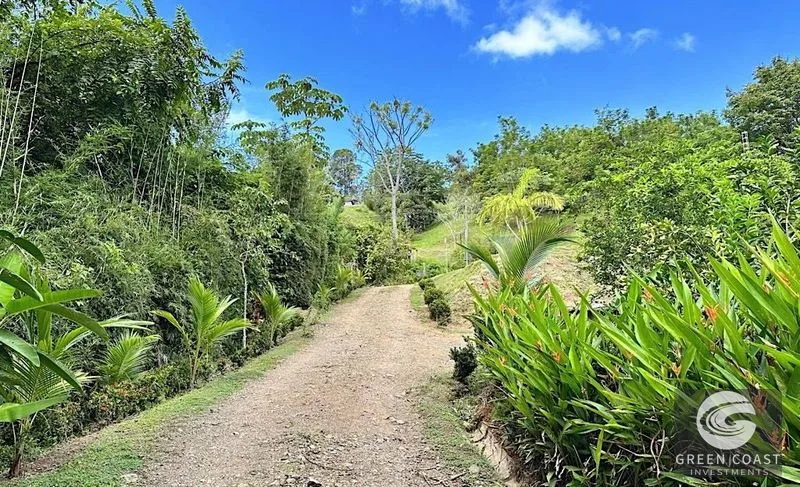 Mountain-View Tropical Paradise with Main Home & Studio Cabin in Portalon — view 9, Portalon de Quepos, Quepos, Costa Rica