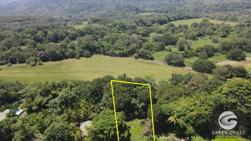Matapalo Beach Lot: Build Your Dream Coastal Escape Steps from the Pacific — view 2, Quepos (Aguirre), Costa Rica